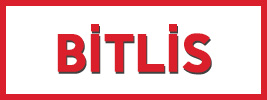 bitlis logo