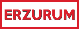 erzurum logo