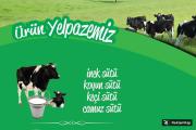 Çankaya Süt Ürünleri | Yenimahalle ve Batıkent Koyun ve Manda Süt & Yoğurt