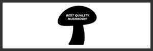Best Quality Mushroom | Bahçelievler | İstanbul